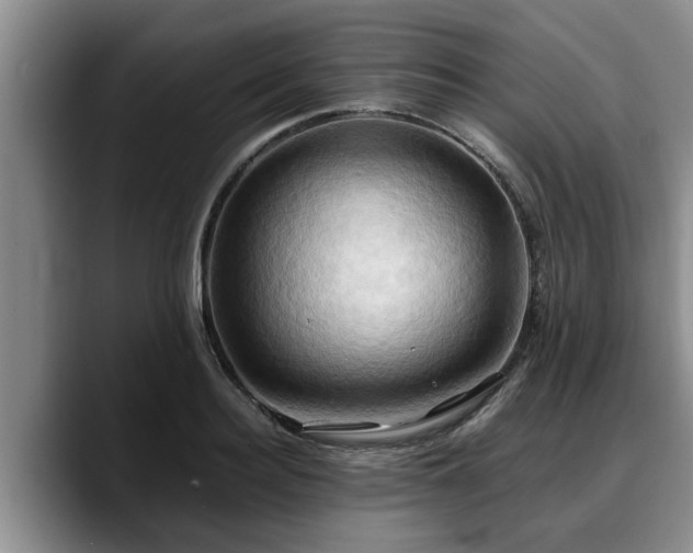 X0000090490940200707201535