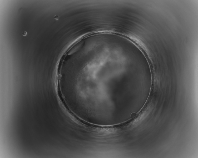 X0000090490941200707201535