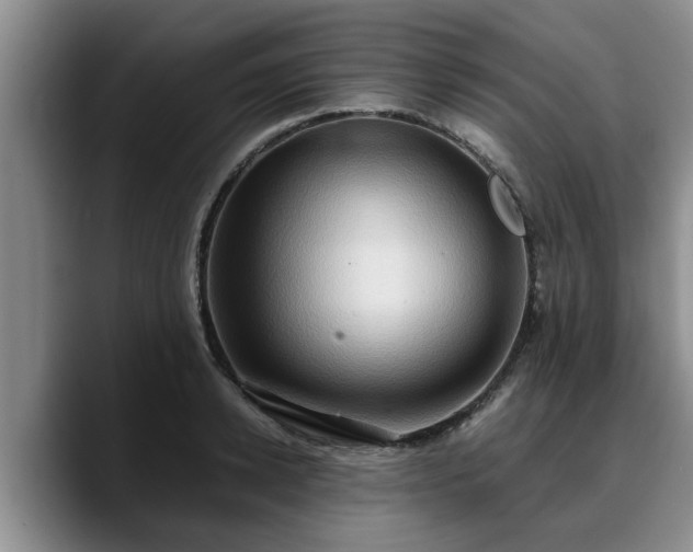 X0000090490942200707201535