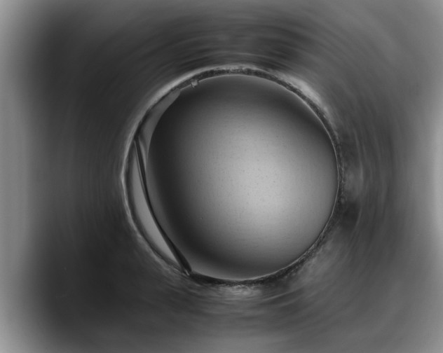 X0000090490943200707201535