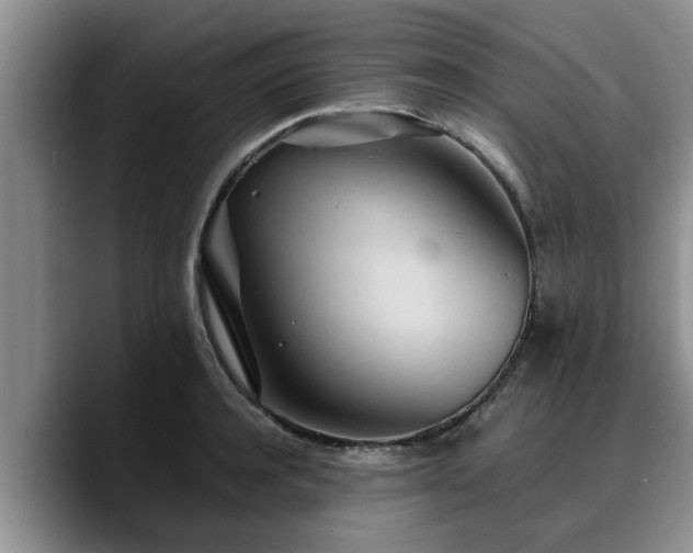 X0000090490944200707201535