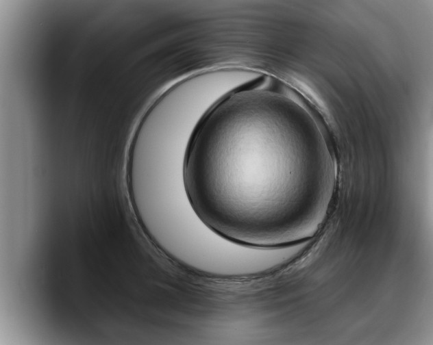 X0000090490948200707201535