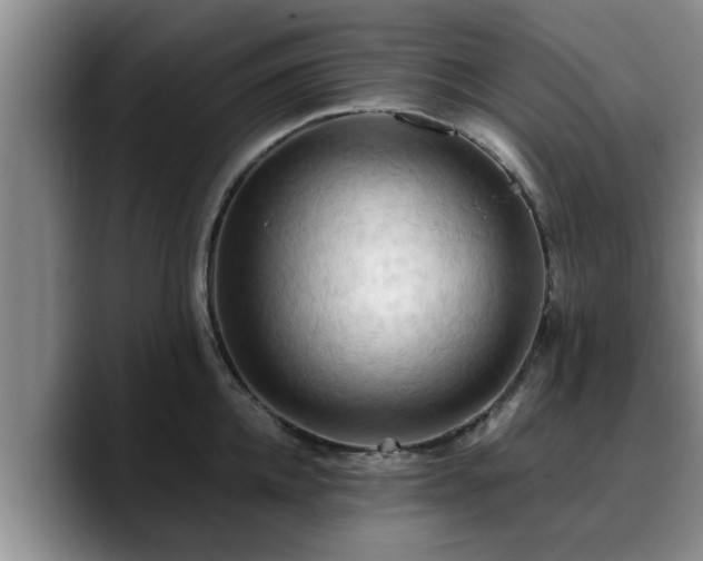 X0000090490952200707201535
