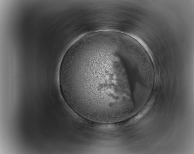 X0000090490957200707201535