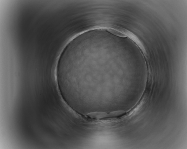 X0000090490958200707201535
