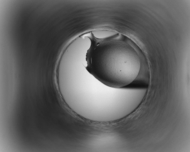 X0000090490960200707201535