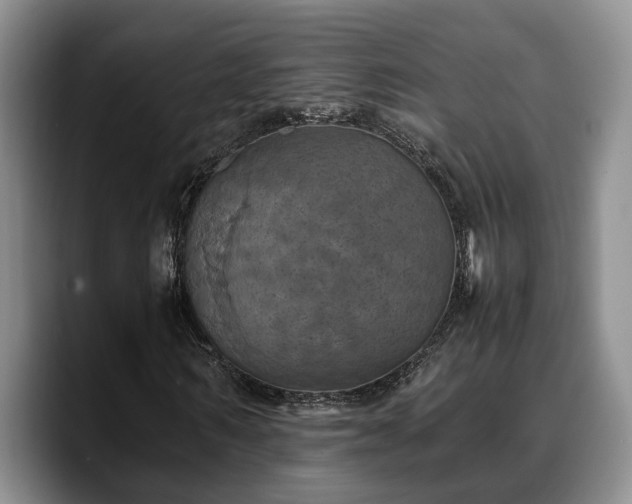 X0000090490962200707201534