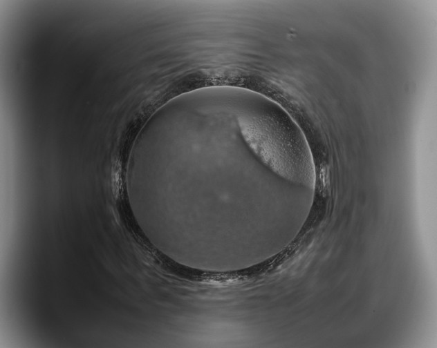 X0000090490963200707201534