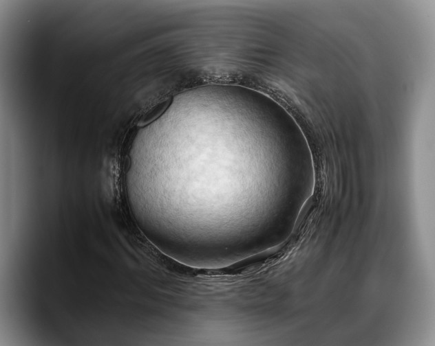X0000090490964200707201534