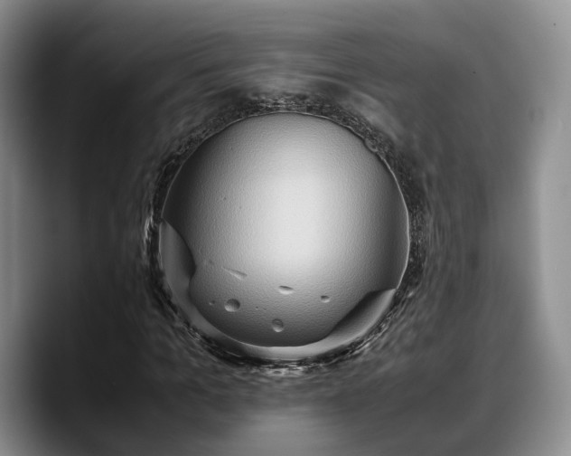 X0000090490965200707201534