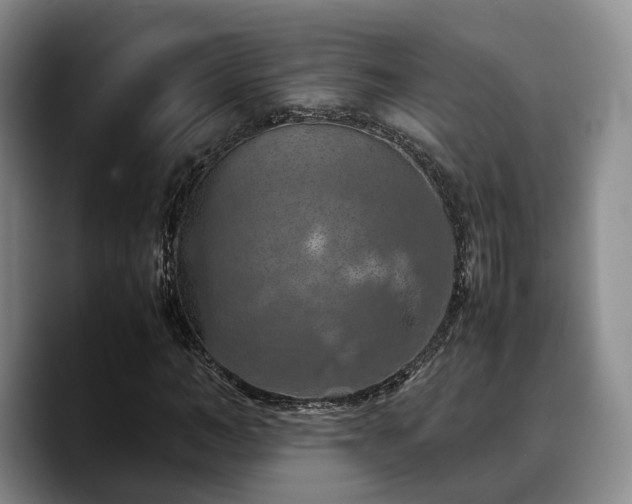 X0000090490966200707201534