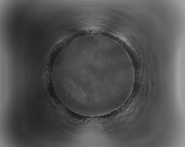 X0000090490967200707201534