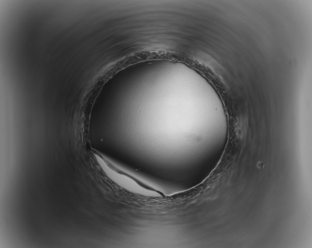 X0000090490968200707201534