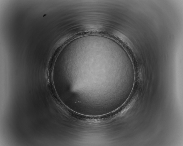 X0000090490970200707201534