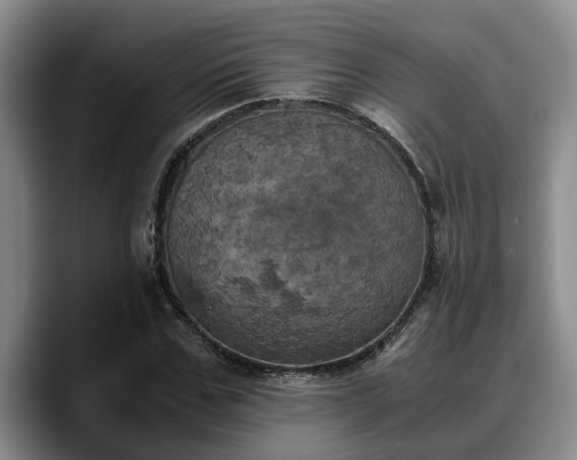 X0000090490971200707201534
