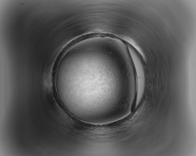 X0000090490972200707201534