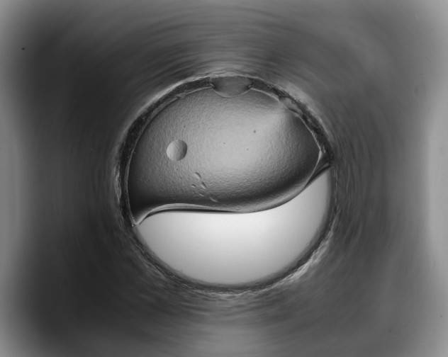 X0000090490973200707201534