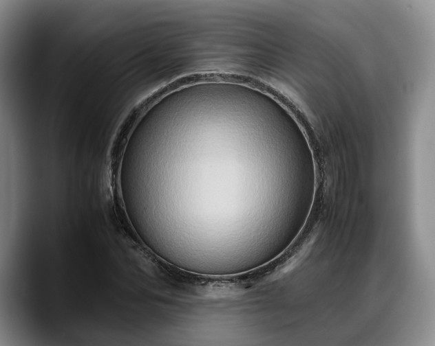 X0000090490974200707201534