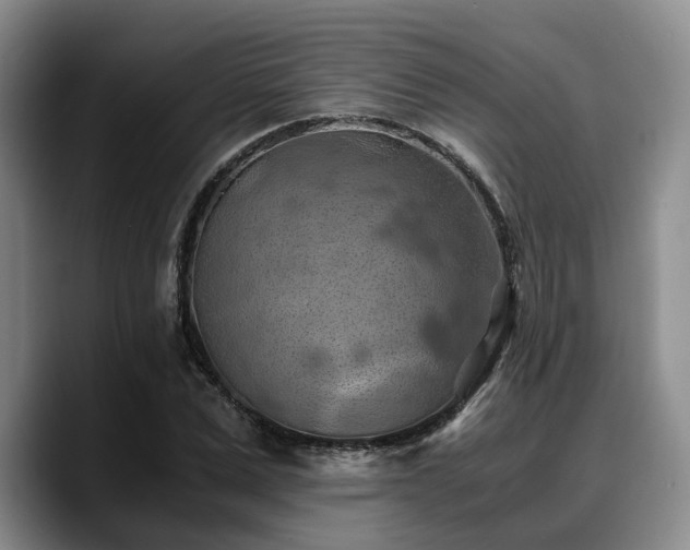 X0000090490975200707201534