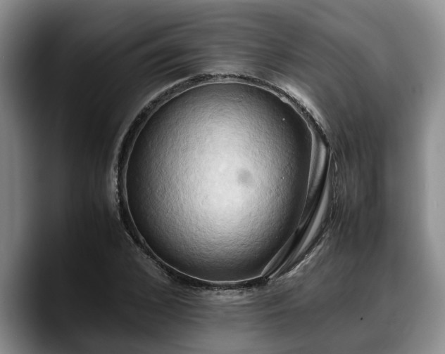 X0000090490976200707201534
