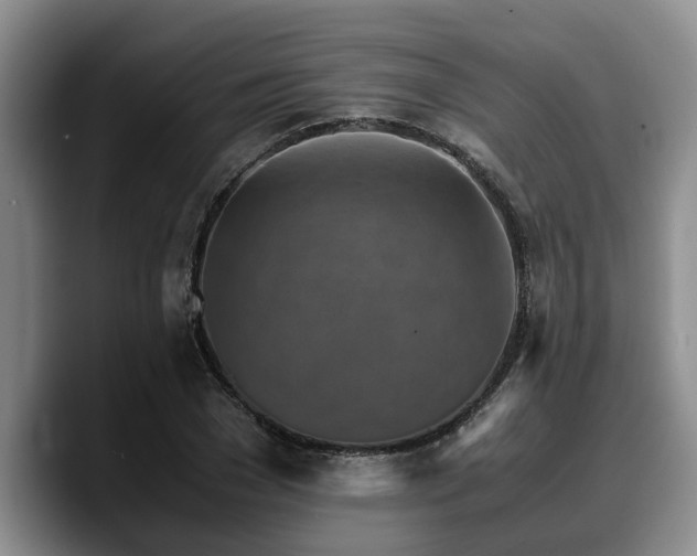 X0000090490977200707201534