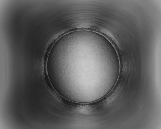 X0000090490978200707201534