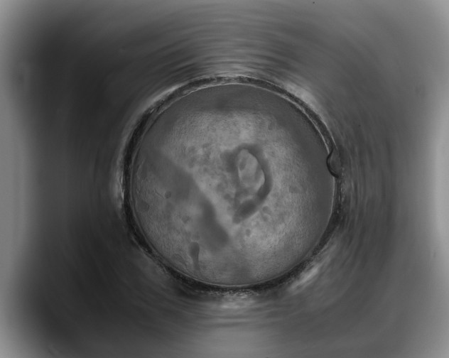 X0000090490979200707201534