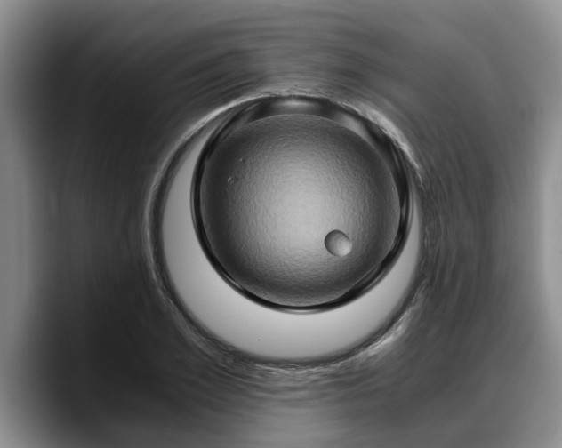 X0000090490981200707201534