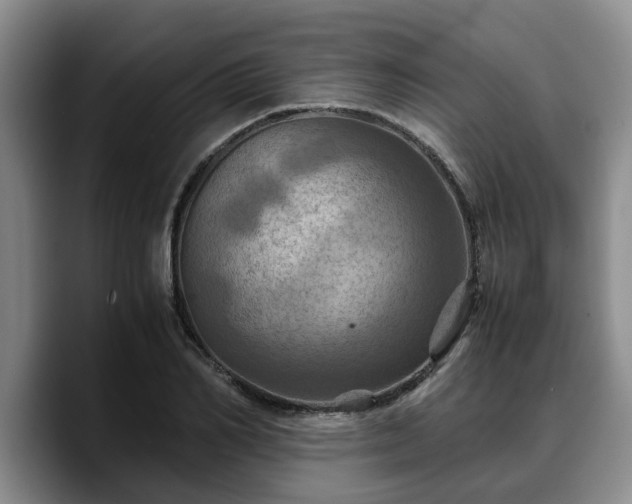 X0000090490982200707201534