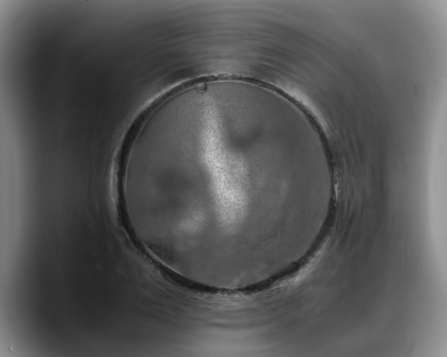 X0000090490983200707201534