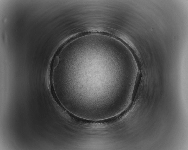 X0000090490984200707201534
