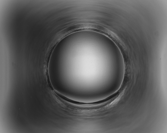 X0000090490985200707201534