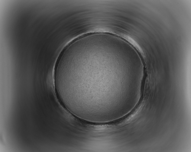 X0000090490988200707201534