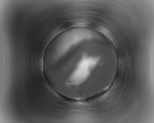 X0000090490994200707201534