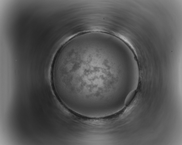 X0000090490995200707201534