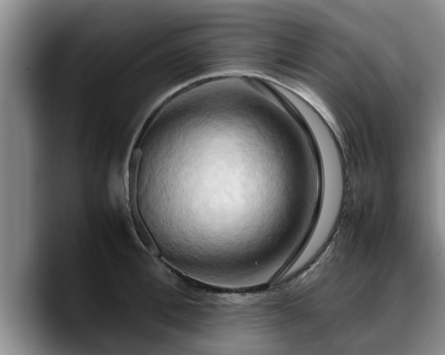 X0000090490996200707201534