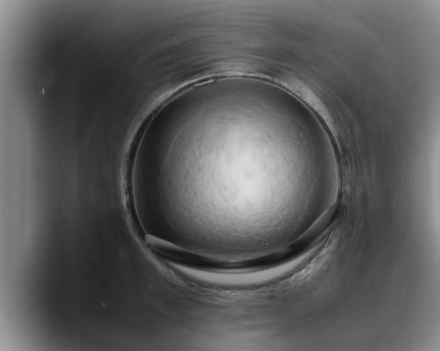X0000090490997200707201534