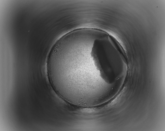 X0000090490998200707201534