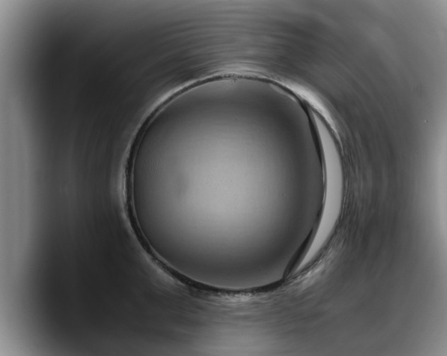 X0000090490999200707201534