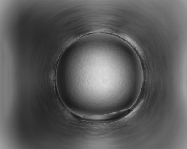 X0000090491001200707201534