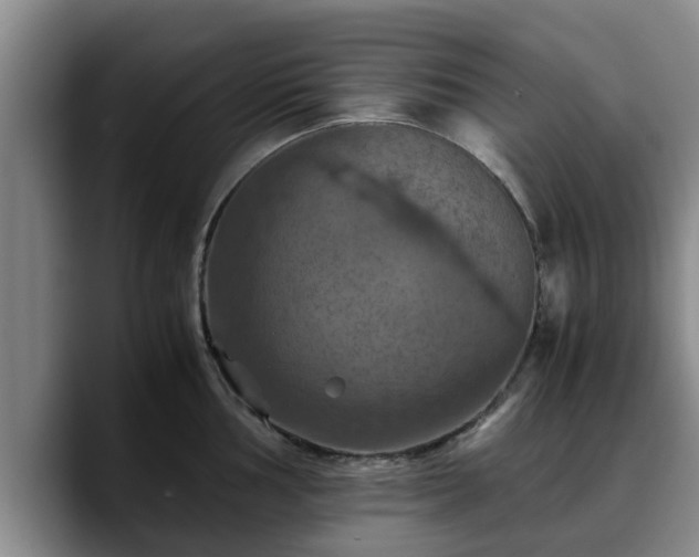 X0000090491002200707201534