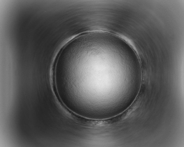 X0000090491003200707201534