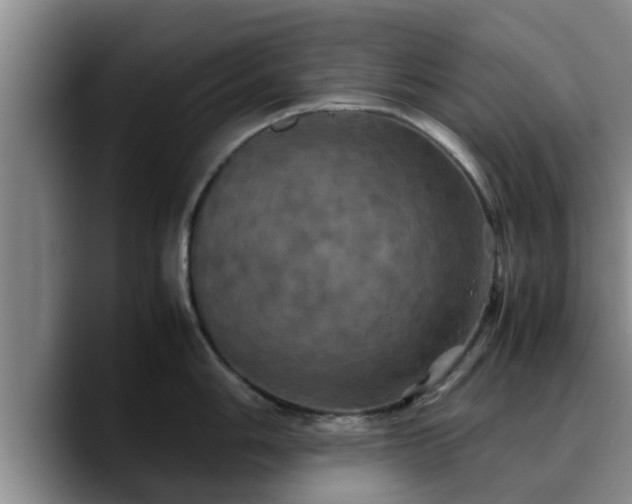 X0000090491006200707201534