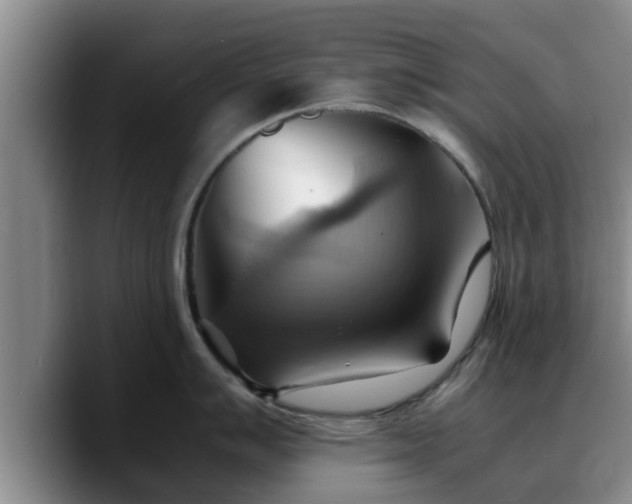 X0000090491007200707201534