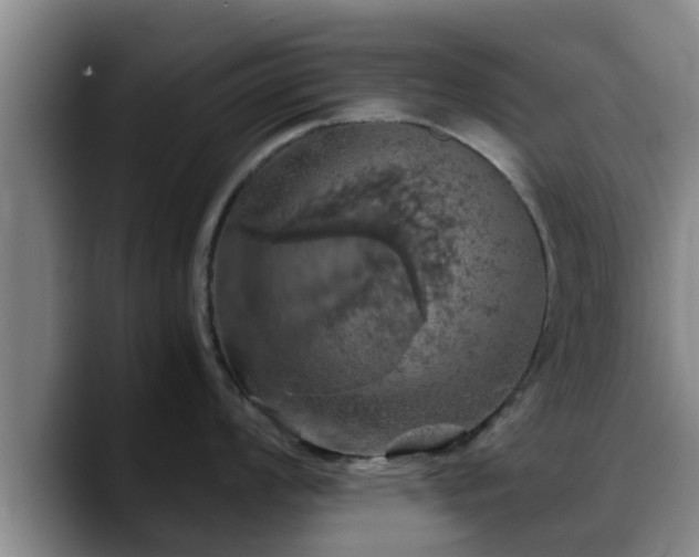 X0000090491008200707201534