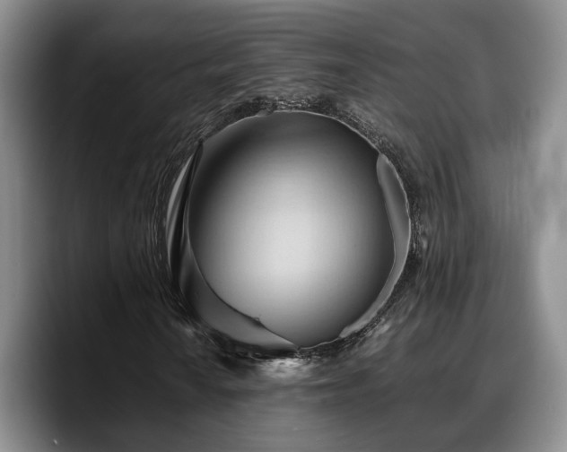 X0000090491010200707201533