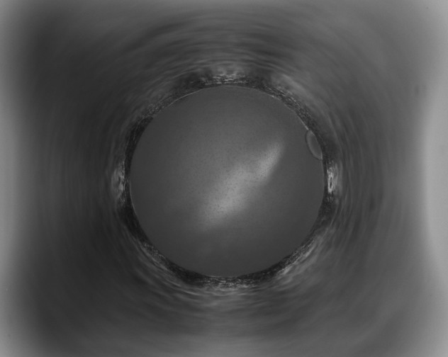 X0000090491011200707201533