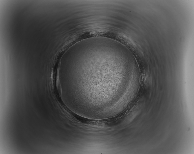 X0000090491012200707201533