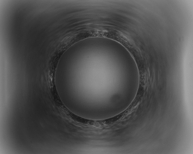 X0000090491013200707201533