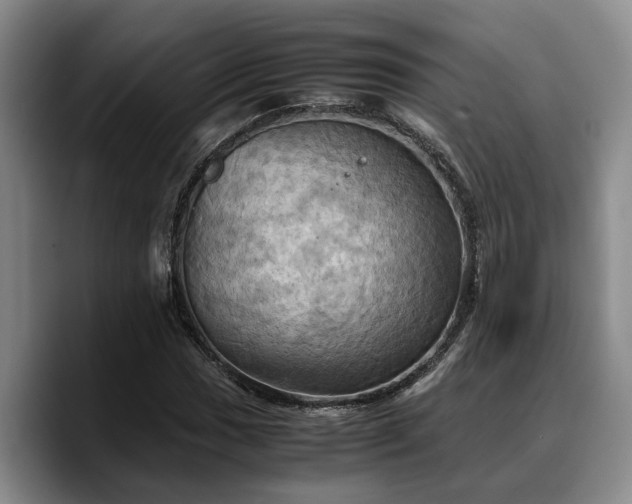 X0000090491017200707201533